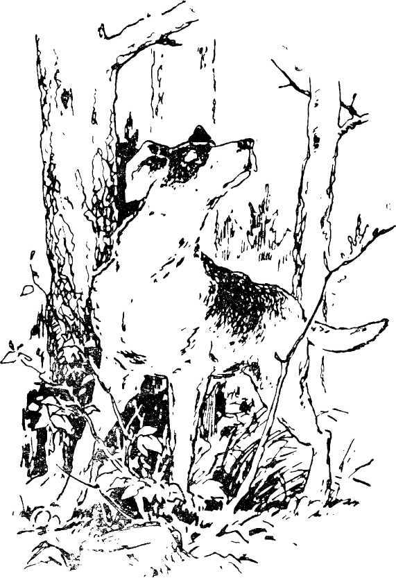 Манька<br />(Рассказы) - i_005.jpg