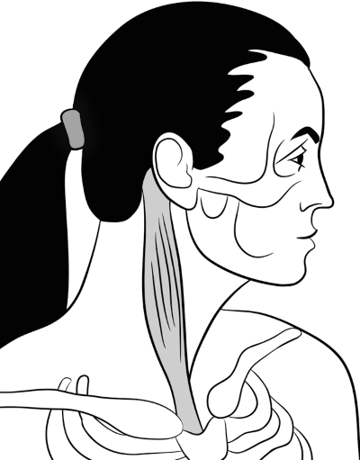 ФейсСкульптор. Фитнес для лица, массаж, уход - i_015.png