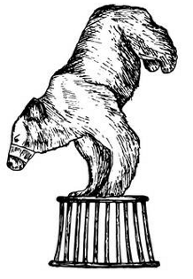 Мои звери. С вопросами и ответами для почемучек - i_012.png
