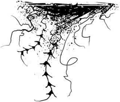 Болотница - i_003.png