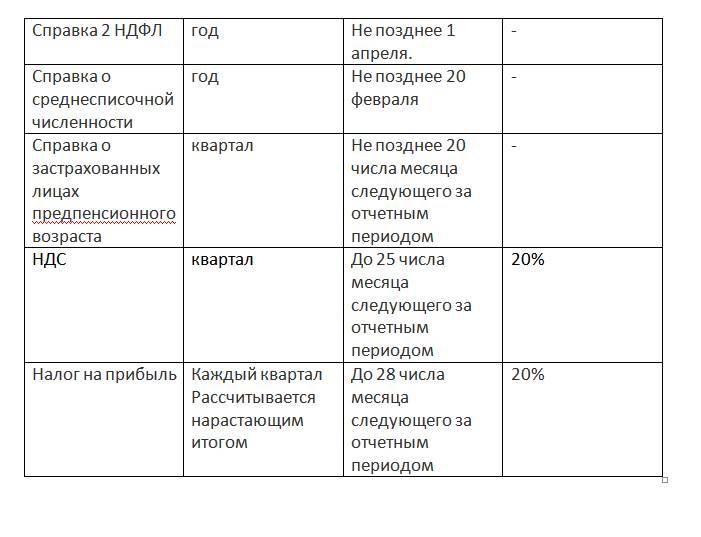 Налоговая отчетность. Виды отчетности. Сроки сдачи - _1.jpg