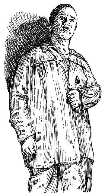 Собрание сочинений в 2 томах. Том 2. Золотой теленок - i_023.png