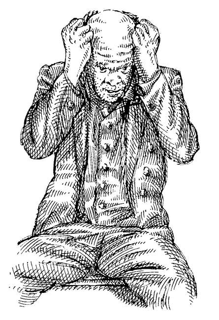 Собрание сочинений в 2 томах. Том 2. Золотой теленок - i_036.png