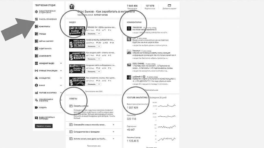 Раскрутка на YouTube. С нуля до первых денег, просмотров и подписчиков - i_028.jpg