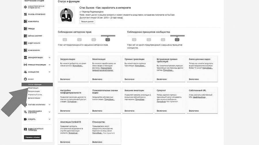 Раскрутка на YouTube. С нуля до первых денег, просмотров и подписчиков - i_033.jpg