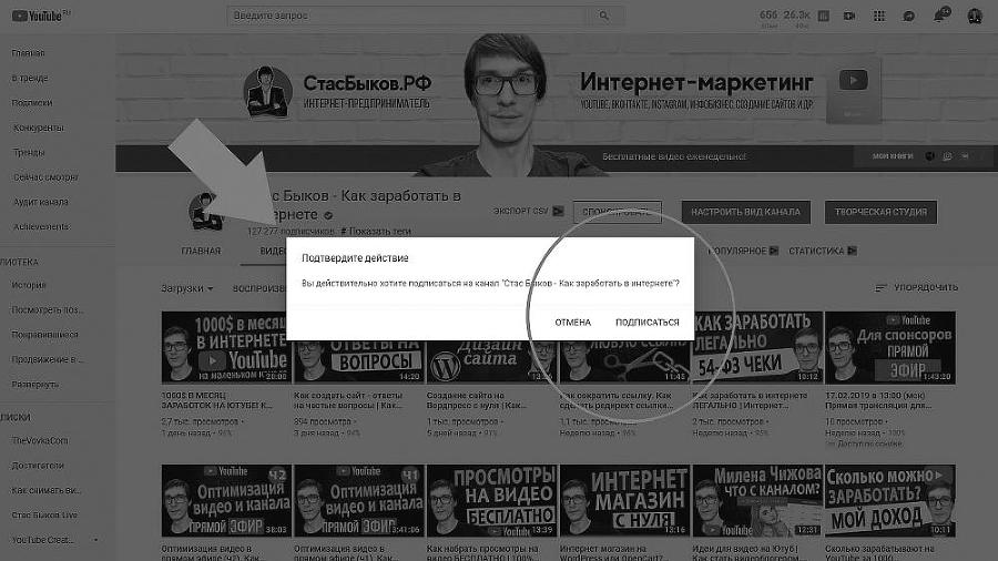 Раскрутка на YouTube. С нуля до первых денег, просмотров и подписчиков - i_055.jpg