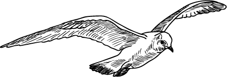 Краткая история всего на свете - i_025.png
