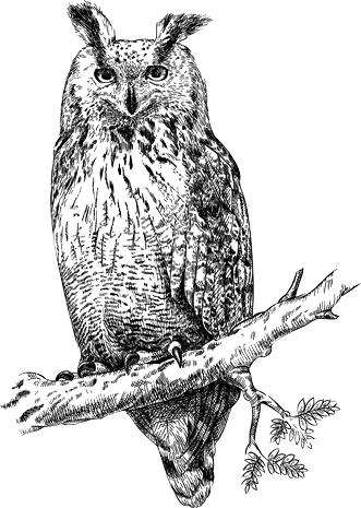 Краткая история всего на свете - i_027.png