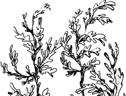 Краткая история всего на свете - i_028.png