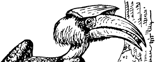 Краткая история всего на свете - i_029.png