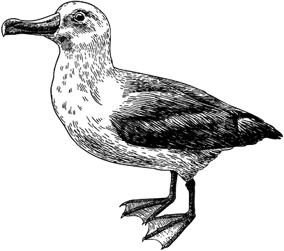 Краткая история всего на свете - i_033.png