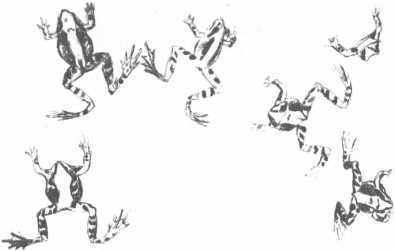 Лёля и Минька<br />Рассказы - i_022.jpg