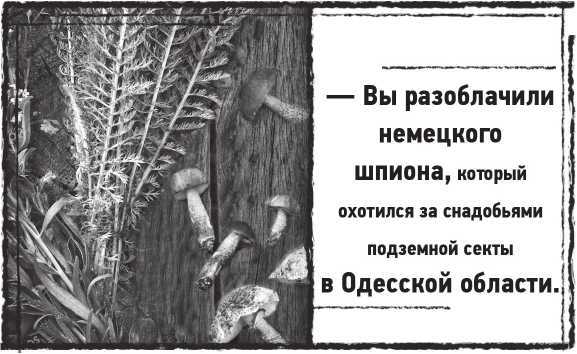 Лугару<br />(Ретророман) - i_016.jpg