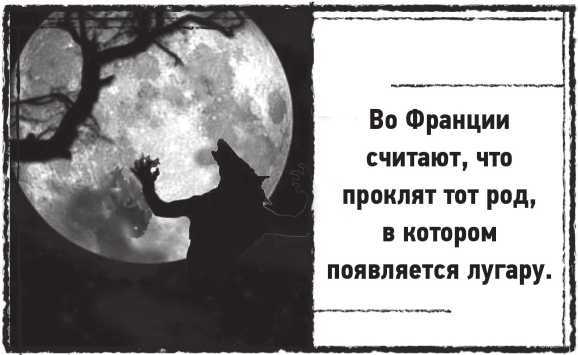 Лугару<br />(Ретророман) - i_018.jpg