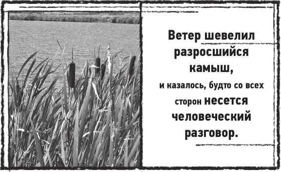 Лугару<br />(Ретророман) - i_026.jpg