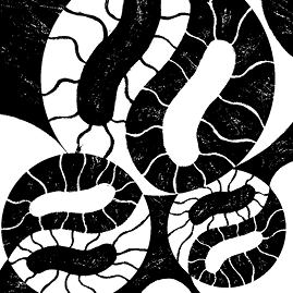 Перспективы отбора - i_011.png