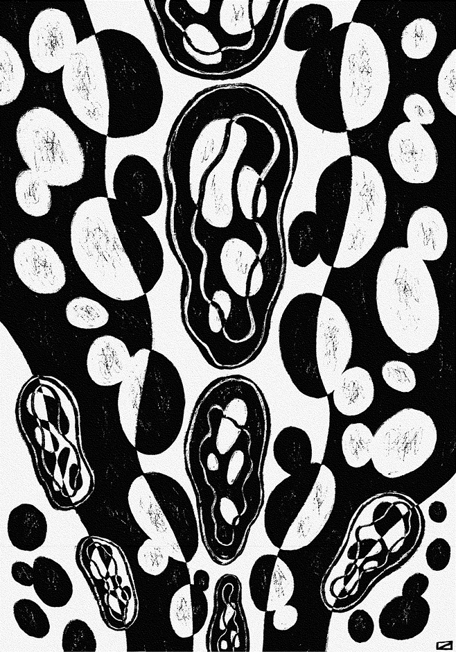 Перспективы отбора - i_023.png
