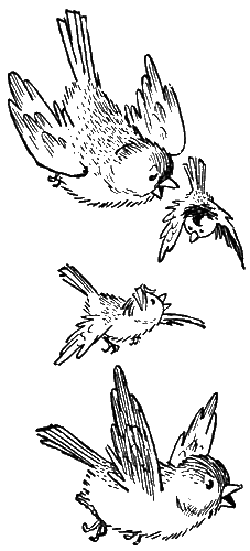 Баранкин, будь человеком (с иллюстрациями) - g13.png