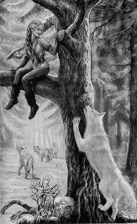 Сердце Стужи - i_004.jpg