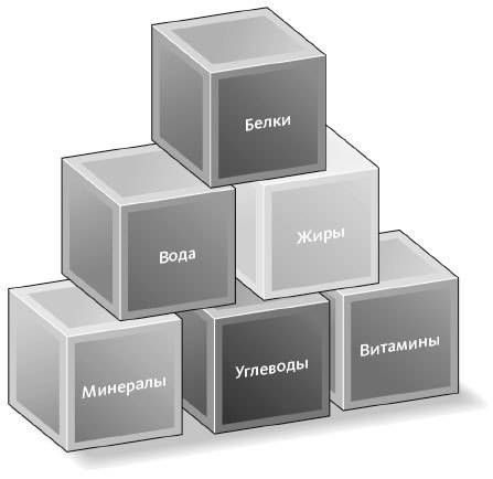 Здоровое питание каждый день - i_001.jpg