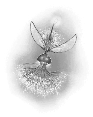 Снегозавр и Ледяная Колдунья - i_032.png