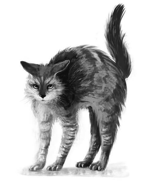 Удивительные истории о котах - i_005.png