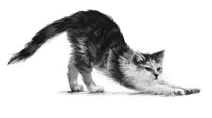 Удивительные истории о котах - i_006.png