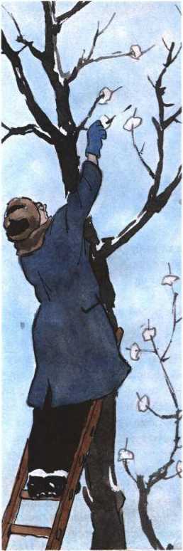 Все рассказы - i_104.jpg