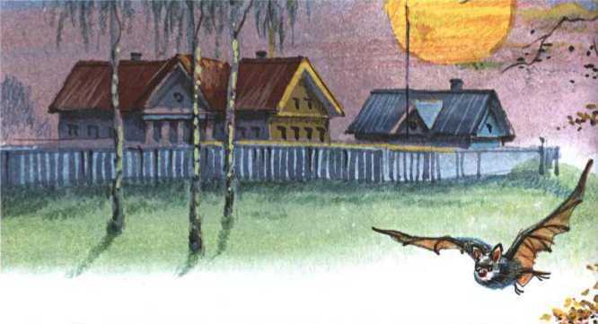 Все рассказы - i_210.jpg