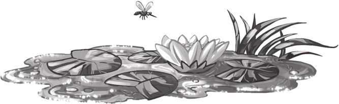 Кефир, Гаврош и Рикошет. Шанхайский сувенир - i_021.jpg