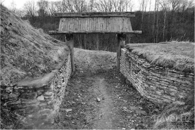 История происхождения русов и славян - i_073.jpg