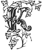 Вий<br />(1887. Совр. орф.) - i_003.png