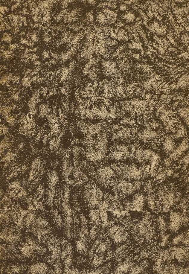 Нос<br />(1886. Совр. орф.) - i_011.jpg