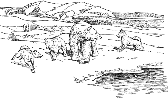 У дикарей<br />(Рассказы. Совр. орф.) - i_004.png