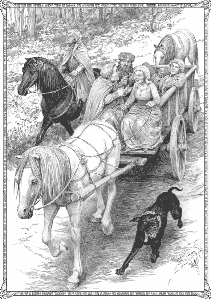 Сага о Рейневане. Башня шутов - i_006.png
