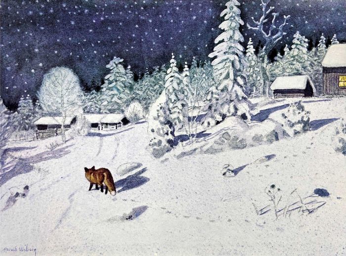 Томтен и Лис - i_005.jpg