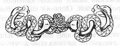 Оберег - snake.jpg