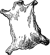 В Древнем Киеве - i_046.png