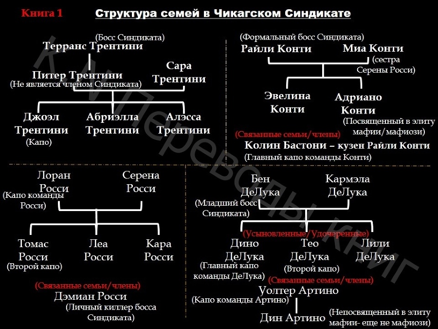 Бессмертные и разделенные (ЛП) - img_1
