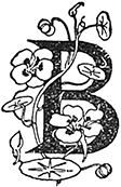 В стране контрастов - i_064.png