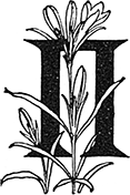 В стране контрастов - i_074.png