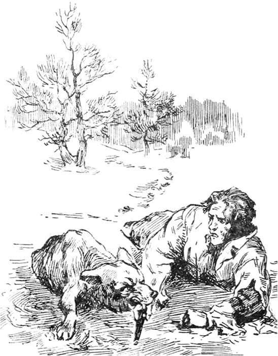 С ружьем по лесам и болотам<br />(Рассказы охотника) - i_009.png