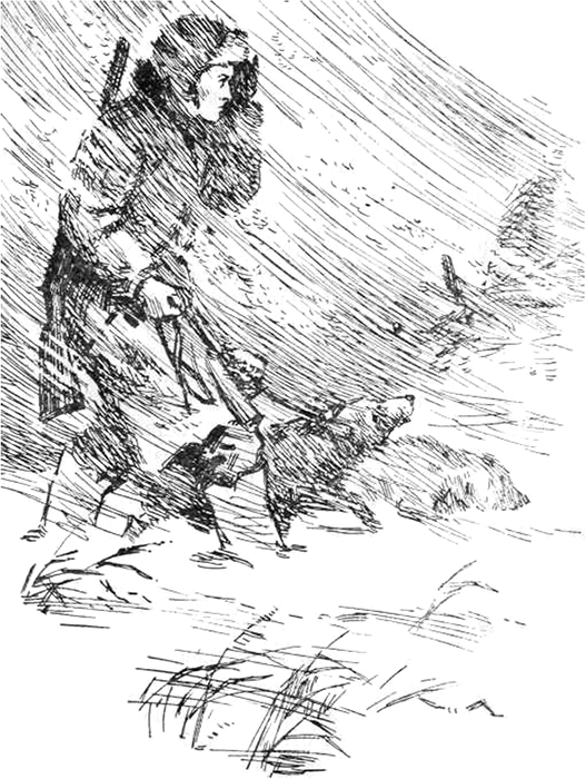 С ружьем по лесам и болотам<br />(Рассказы охотника) - i_012.png
