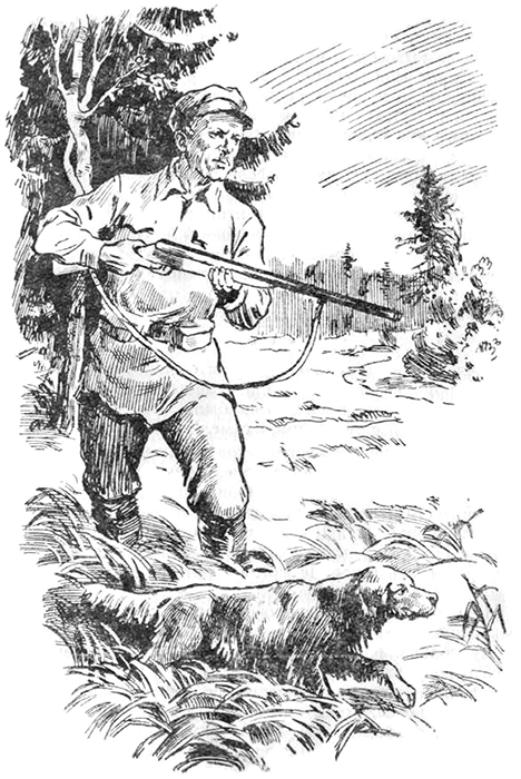 С ружьем по лесам и болотам<br />(Рассказы охотника) - i_013.png