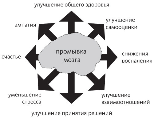 Промывка мозга. Программа для ясного мышления, укрепления отношений с людьми и развития полезных привычек - i_002.jpg