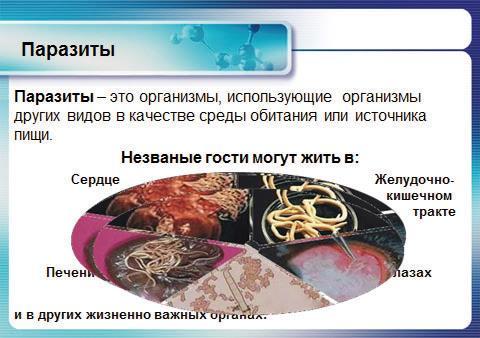 Аллергия. Истинные причины. Лечение - i_004.jpg