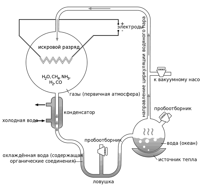 Биология для тех, кто хочет понять и простить самку богомола - i_024.png