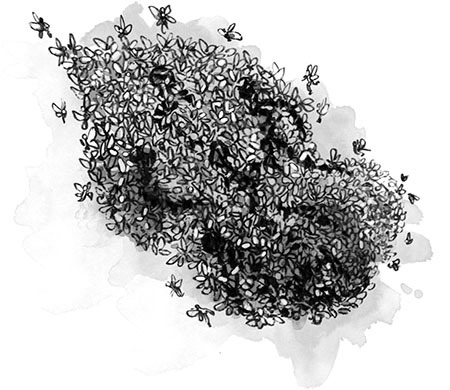Школа Добра и Зла. Единственный истинный король - i_015.jpg