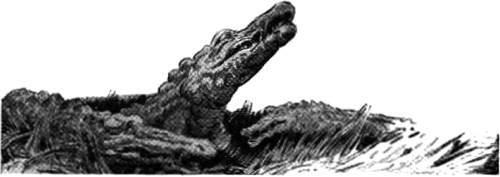 Дар Астарты: Фантастика. Ужасы. Мистика (Большая книга) - _14.jpg