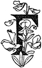 Живые примеры<br />(Рассказы для детей младшего возраста) - i_039.png